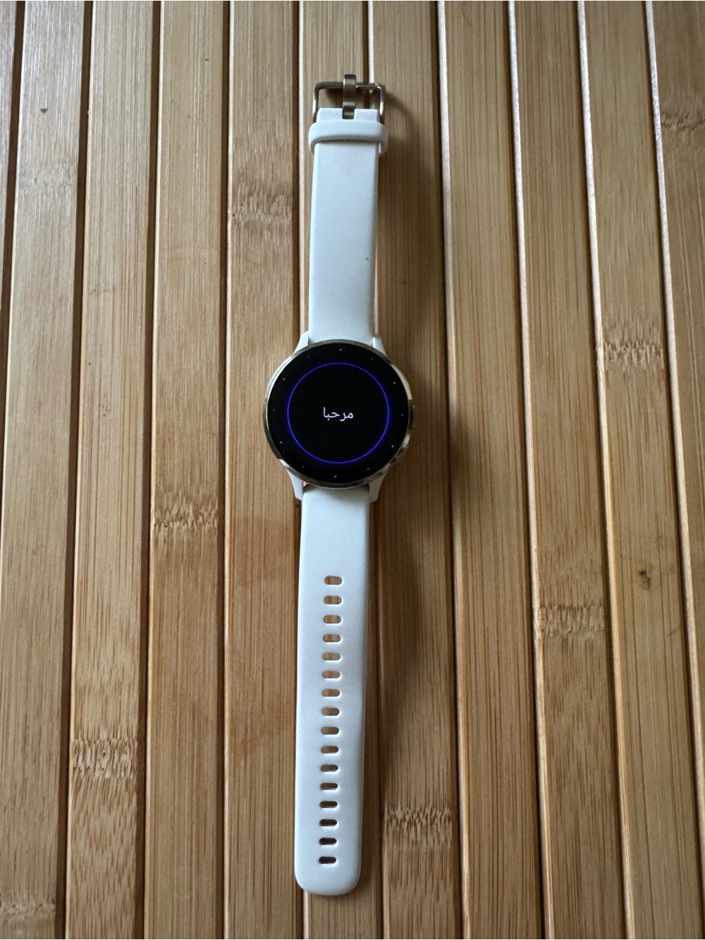 Garmin Venu 3s